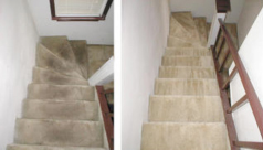 Carpet Before & After